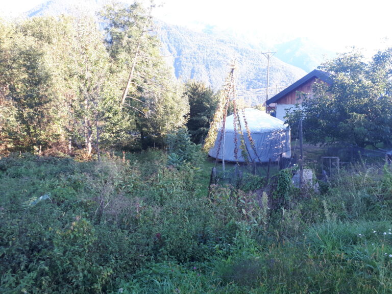 eco-camping- location de yourte- hebergement insolite